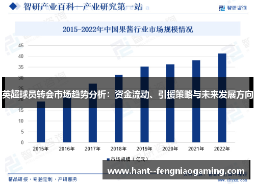 英超球员转会市场趋势分析:资金流动、引援策略与未来发展方向 英超球员转会市场趋势分析:资金流动、引援策略与未来发展方向