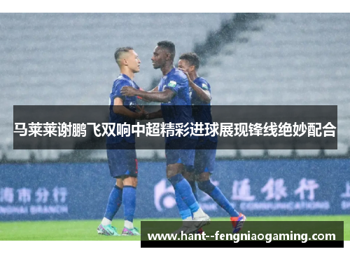 马莱莱谢鹏飞双响中超精彩进球展现锋线绝妙配合