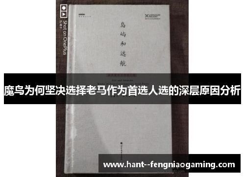 魔鸟为何坚决选择老马作为首选人选的深层原因分析
